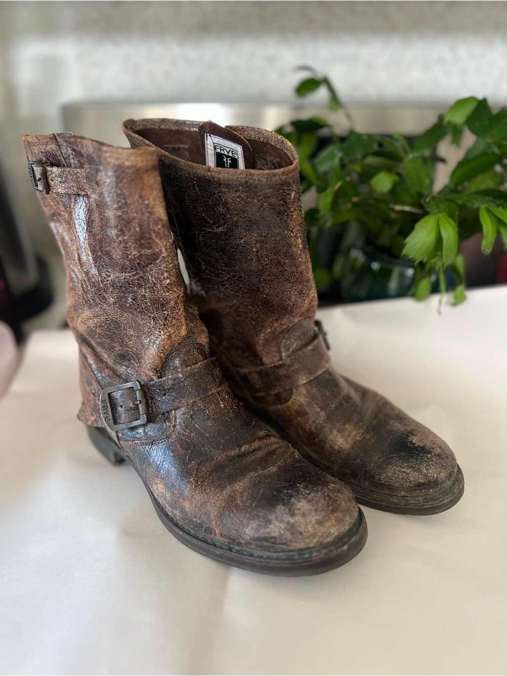 Frye Veronica Short Engineer Boots Brown Leather Distressed 76512 Size 10